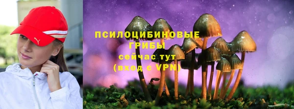 дурь Володарск